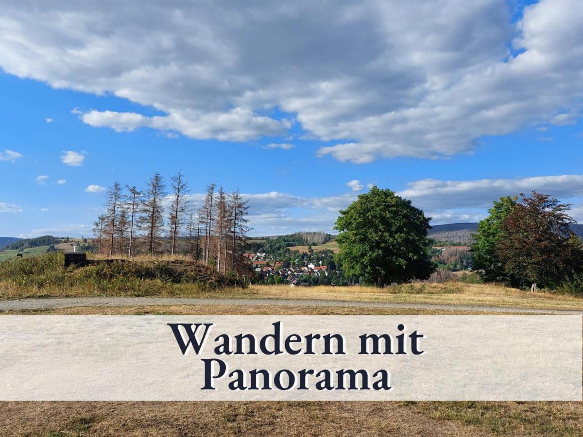 Haus An Der Skiwiese Braunlage Eksteriør billede